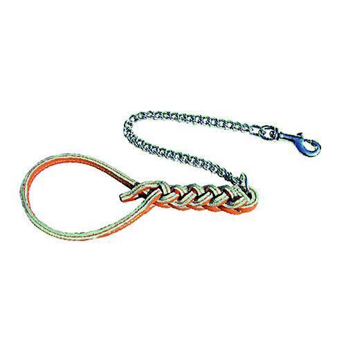 Guinzaglio per cane - per, in