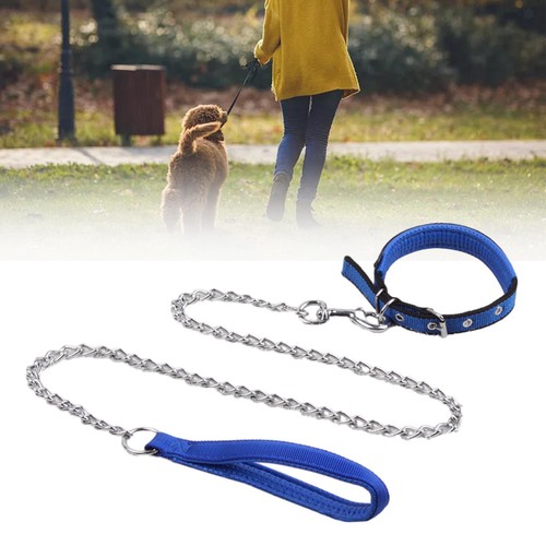 Guinzaglio per cani - guinzaglio,