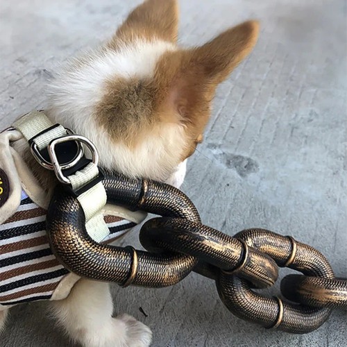 Catena per cani - divertente, in