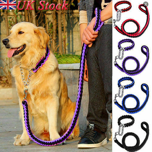 Forte guinzaglio per cani - uk,