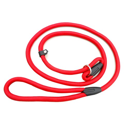 Walking dog lead for and - walking,
