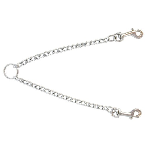 Catena coppia cane guinzaglio - coppia,